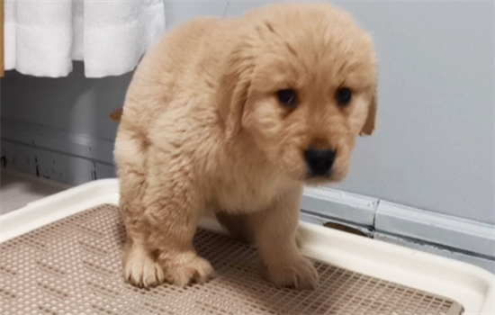 ����ȮͻȻ��ë�Ĳ���