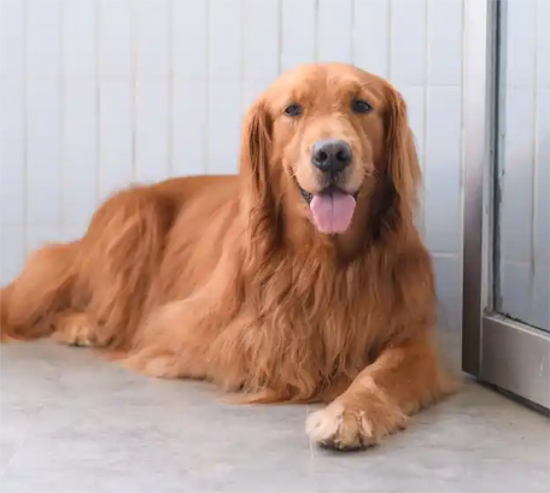 ��ë���ӱ����ô����