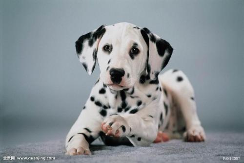 �����ļ�ͥ��ʳϰ��