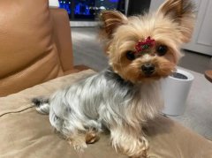 ���������г��ӵ�֢״����Щ��