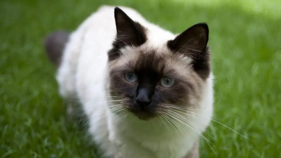 ���ʱèè�ú�ȥ�δӣ�