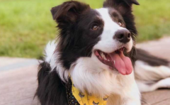 ������������Щ֢״