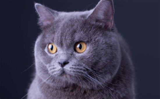 ������è�ļ�ͥ���ݷ�