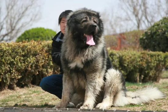 �߼���Ȯ���ֵ�ԭ������Щ