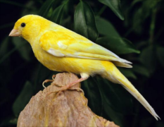 ������ѡ��Ʒ����