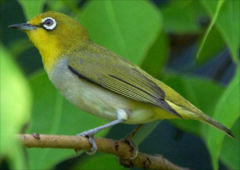 ���ðһ�㼸���ܺ�