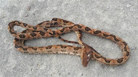 ������ȫ�����ж���