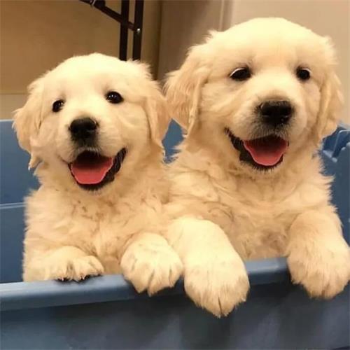 ����һֱ�Ӷ�������ô����