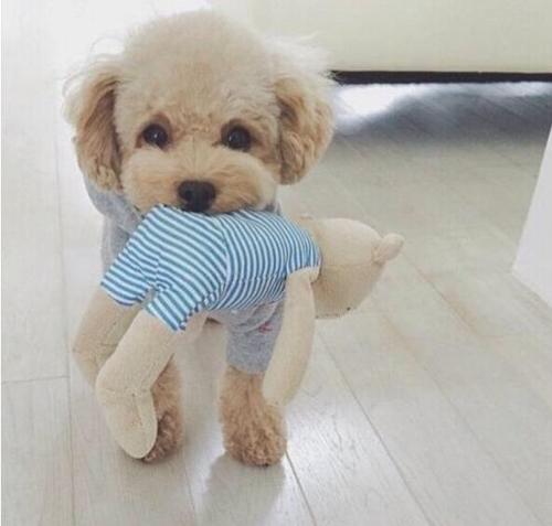 ������������ô�Σ�