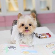 �����ļ�ͥ��ʳ