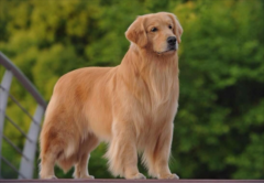 ��ë������Ӳ���迪��