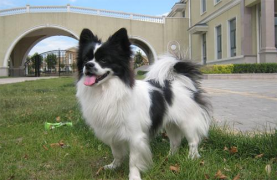 ����Ȯһֱ���Գ�ʲôҩ��