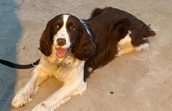 Ȯ���͸�ð��ô����