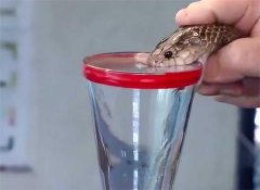 ��Ϊʲô�������Һ