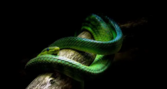 ʲô���಻�ʺ�����