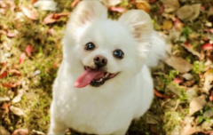 �Դ�����������ע������