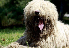 ����ֺ������ʲôҩ