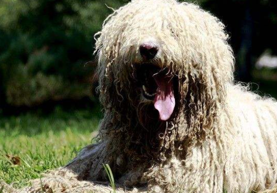 ����ֺ������ʲôҩ