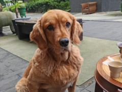 ��ë���Ӹ�����ô����