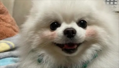 �������յ�֢״����Щ����ô�Σ�