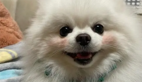 �������յ�֢״����Щ����ô�Σ�