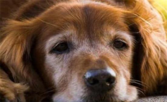 ����Ȯ�β�����֢״��