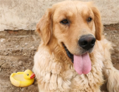 ��ë�������Ը���ô����