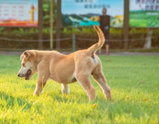 ���ܰ��״�֢״����Щ