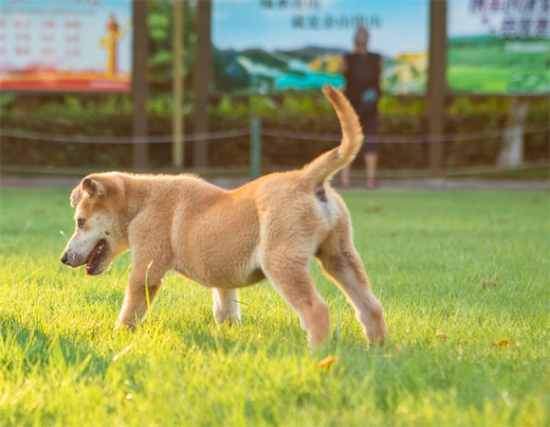 ���ܰ��״�֢״����Щ