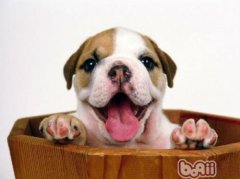 ����������۵ķ���