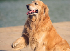 �����ëϴ����һ�κ���