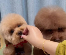 ���ؽ���ʹ������ʹҩ������Щ