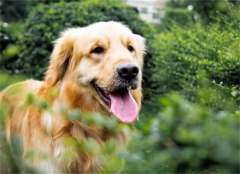 ��ë��Ȯ�����˻ᵼ��ʲô