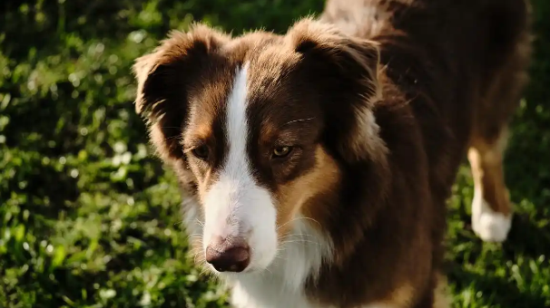 �����»�ˮ����ĭ��ʲôԭ��