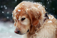 ��ëȮ��ô����������