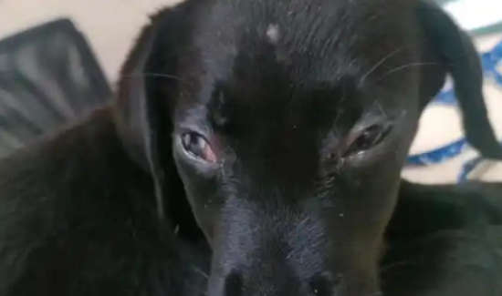 �����Զ���ֻ��ˮû������ô����