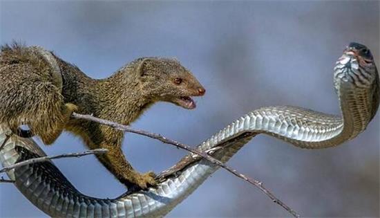 �ߵ���������