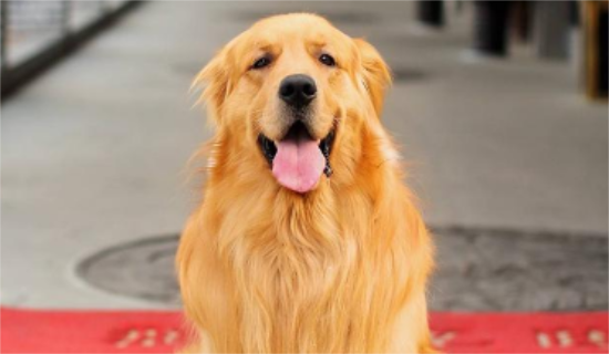 ��ëȮ��ë��Ϊʲô��������