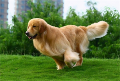 ��ô���ܻ����ë��ë��֢״