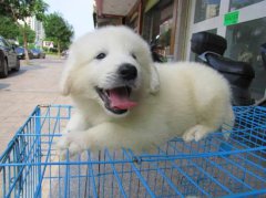 ι��̩��Ȯ��ע������