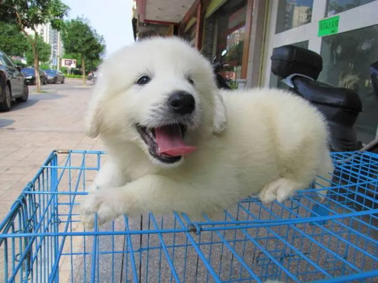 ι��̩��Ȯ��ע������