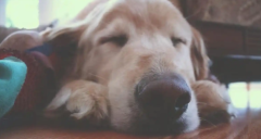 ������к��ֹ����Щ��θ��������