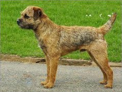 ���������˵�ԭ��