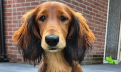 ����Ż�¶��Һ��ȳ���ô����