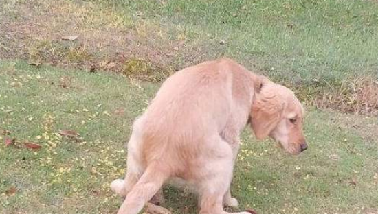 ��ë�����һ��������