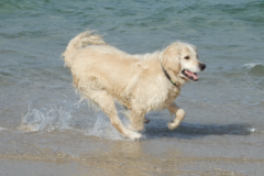 ��ô�������ý�ëȮ˯����������