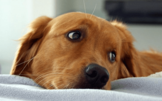 ��ë��������ô��