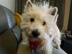 ��ȮƵ����ϡ��ô�죿