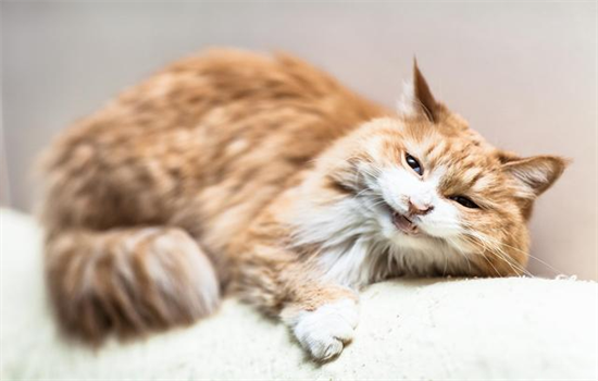 è��ÿ�춼����ë��ʲôԭ��