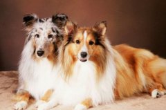 ι������Ҫע���12��